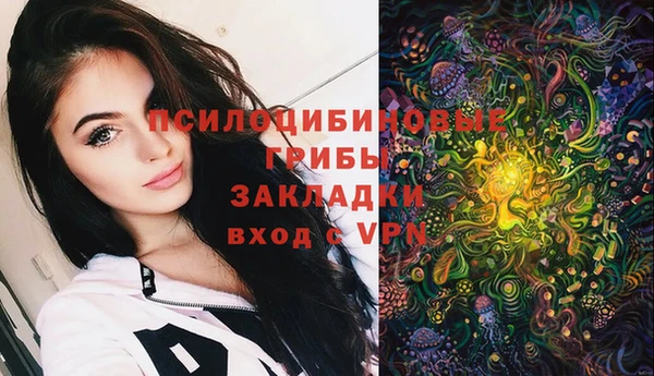 Альфа ПВП Алексин