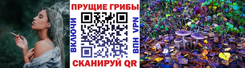 сколько стоит  площадка Telegram  Псилоцибиновые грибы ЛСД  Бийск 